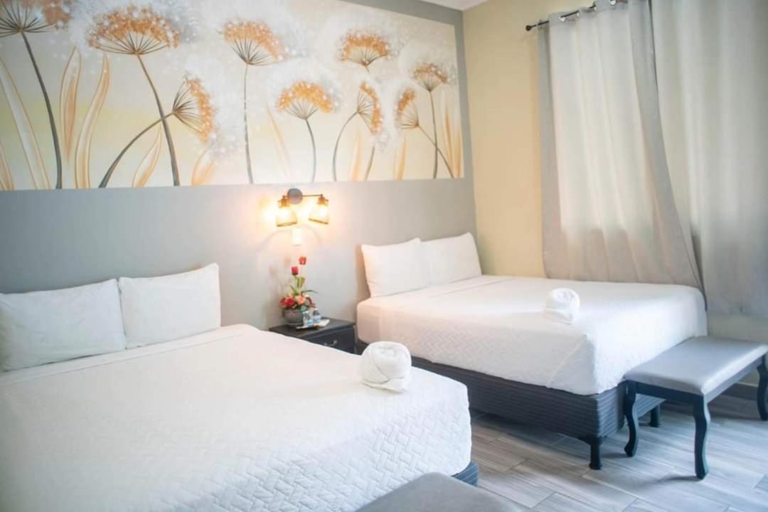 Mi Tierra Hotel Y Restaurante San Luis 外观 照片